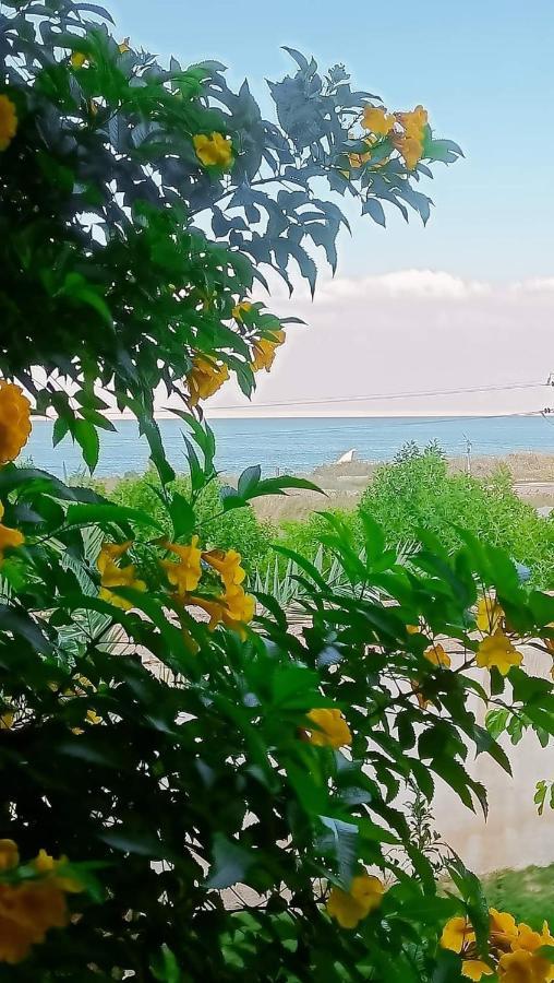 Kayan House Villa Tunis Bagian luar foto